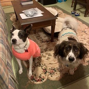 Meet your Posher, Bryan